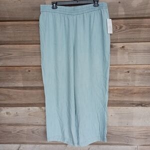 🆕 New Directions Curvy Light Wash Linen Pants